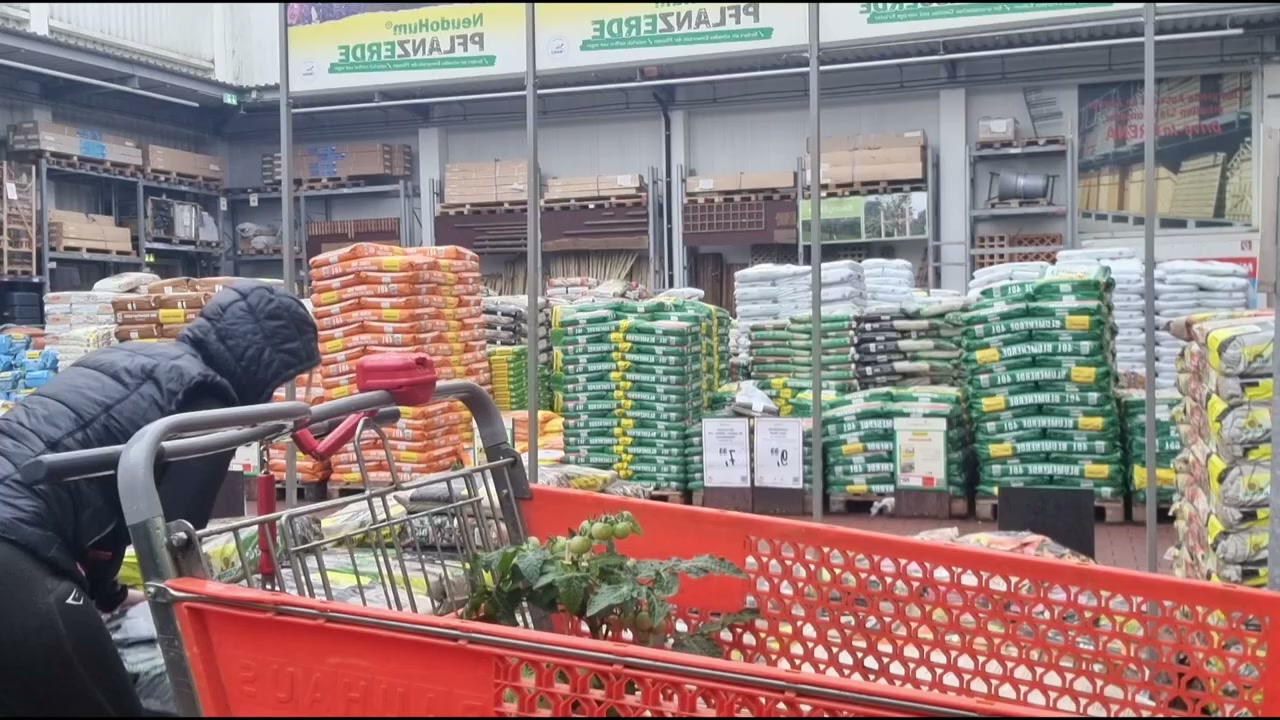 Einkaufswagen voller Pflanzen und Erde zwischen den Regalen im Baumarkt