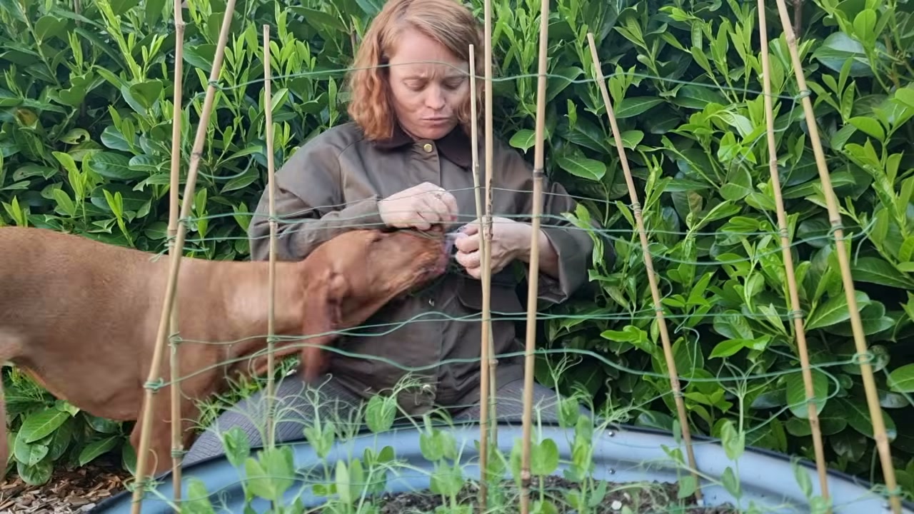 Ida stupst Lisi durch das Rankgitter im Garten an